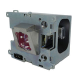 Digital Projection 109-215J Ushio Projector Lamp Module