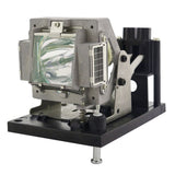 Sanyo POA-LMP117 Philips Projector Lamp Module
