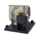 Eiki AH-50002 Philips Projector Lamp Module