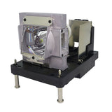 Vivitek 3797802500-SVK Ushio Projector Lamp Module