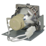 BenQ 5J.JED05.001 Osram Projector Lamp Module