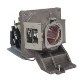 BenQ 5J.JFY05.001 Philips Projector Lamp Module