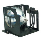 Sharp AN-R65LP2/1 TV Lamp Module