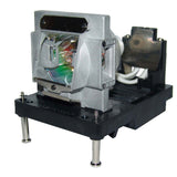 Eiki AH-CD3010 Compatible Projector Lamp Module