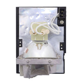 Optoma BL-FU220D Compatible Projector Lamp Module
