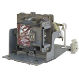 Viewsonic RLC-110 Compatible Projector Lamp Module
