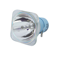 261503 Philips MSD Platinum 14 R 280W 0.8 AC Lamp for Touring/Stage Lighting (9281 961 05314)