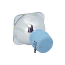 261503 Philips MSD Platinum 14 R 280W 0.8 AC Lamp for Touring/Stage Lighting (9281 961 05314)