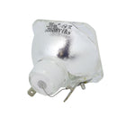 256529 Philips MSD Platinum 2 R 132W AC Short Arc Lamp