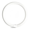 33890 GE FC12T9/CW 32W G10q 4100K Circline Fluorescent Lamp