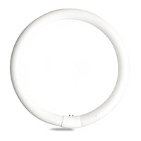 33890 GE FC12T9/CW 32W G10q 4100K Circline Fluorescent Lamp