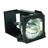 BP96-01795A BP9601795A Samsung TV Lamp